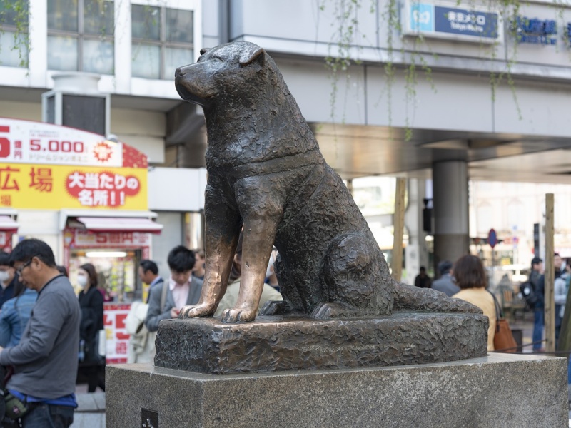 Hachiko Memorial Statue